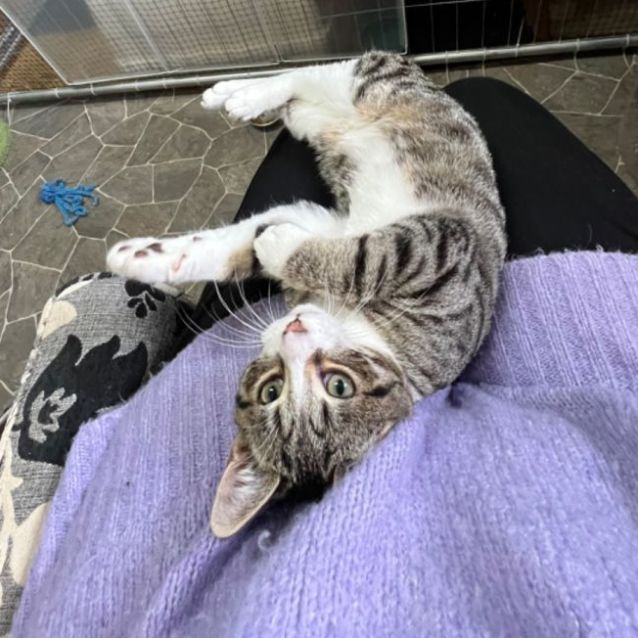 Photo of Soda   Can Assist With Transport