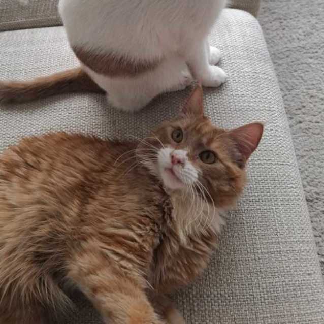 Photo of Misty & Brock