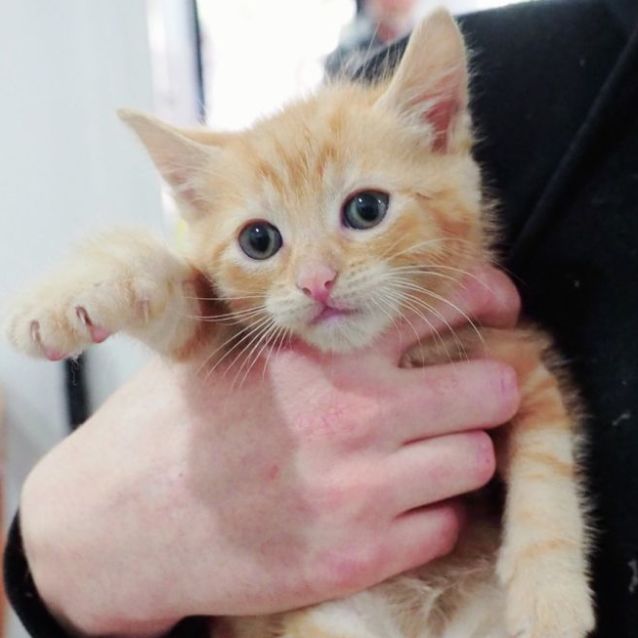 Photo of 💛💛 Mario 💛💛