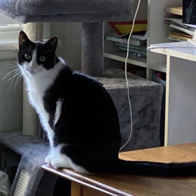Photo of Geraldine 
