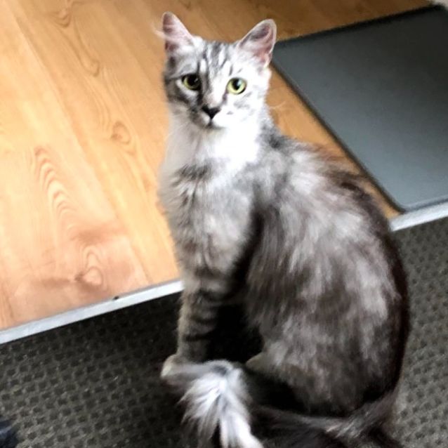 Photo of Judith   Located In St Kilda East