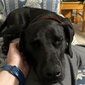 Photo of Storm