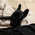 Photo of Dottie