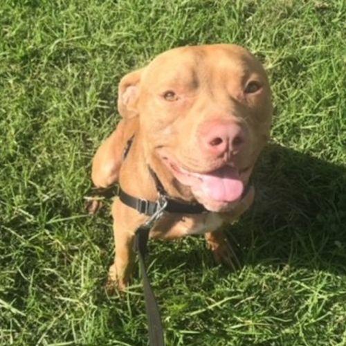 Zeus