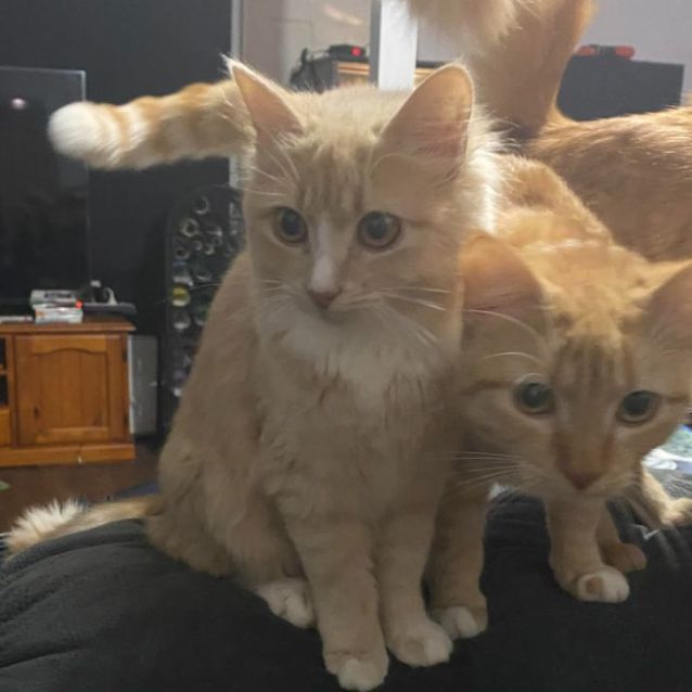 Photo of Pretty Girl (Nickname)