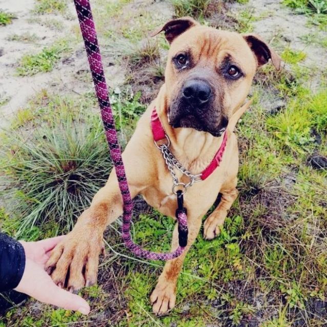 Photo of Zeke Dl2868