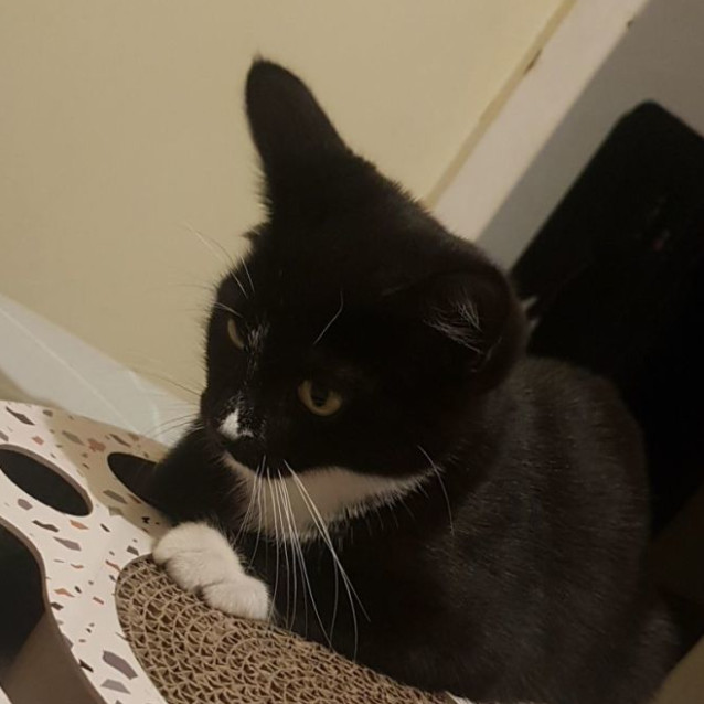 Photo of Hagar & Eli 🌸🐈‍⬛