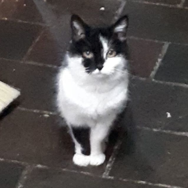 Photo of Thelma And Louise