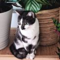 Photo of Cloudy