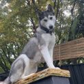 Photo of Rosie