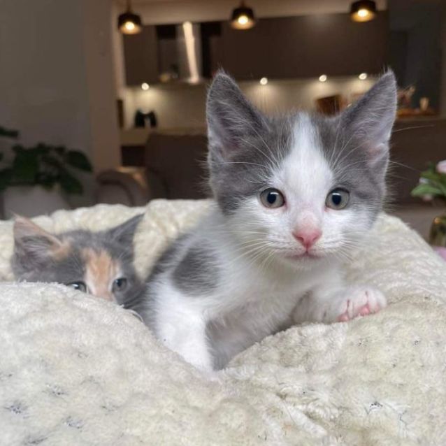 Photo of 💙 Becks 💙