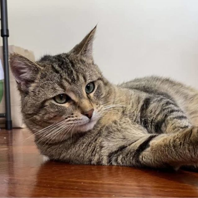 Photo of Marvelous Malcolm 