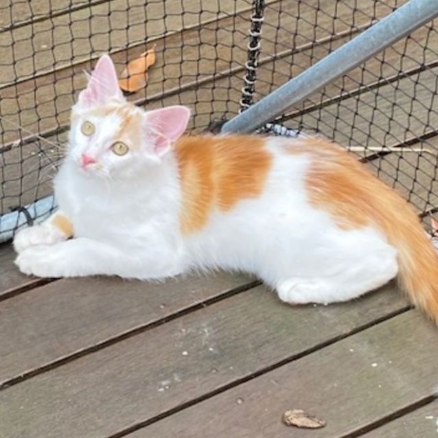 Photo of Arnold