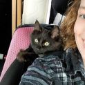 Photo of Socket *9 Lives Project Rescue*