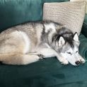 Photo of Cortez