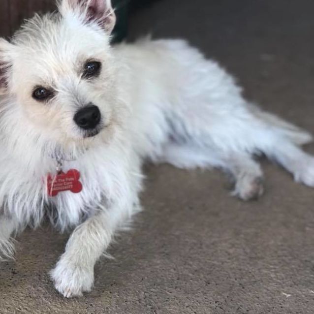 Photo of Cindy