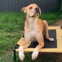 Photo of Ralph