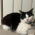 Photo of Larry