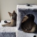 Photo of Annie & Fito