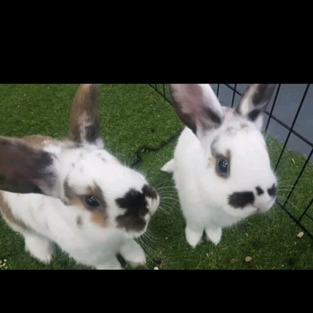 Photo of Ben & Jerry