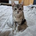 Photo of Fifi