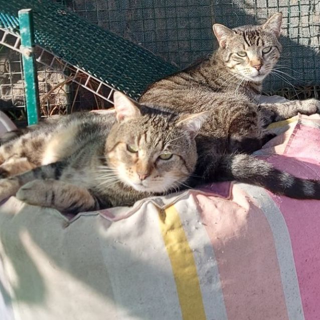 Photo of Albert & Malcolm 😻😻