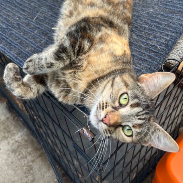 Photo of Samantha   Can Transport To You