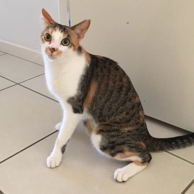 Photo of Lucy