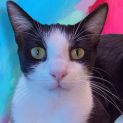 Photo of Prince Louie