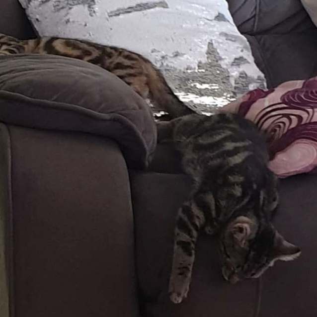 Photo of Tobias