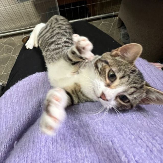 Photo of Soda   Can Assist With Transport