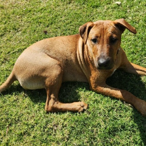 No photo for Matilda