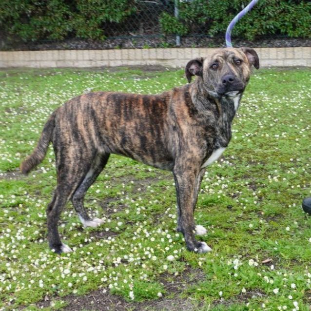 Photo of Roxy