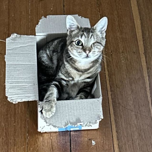 Photo of Jesse & Orianne