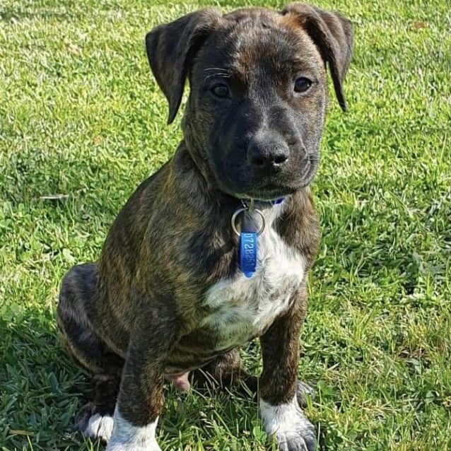 Photo of Shaggy 💚