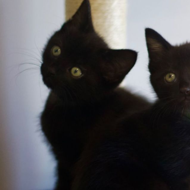 Photo of 💙 Moonlight 💙