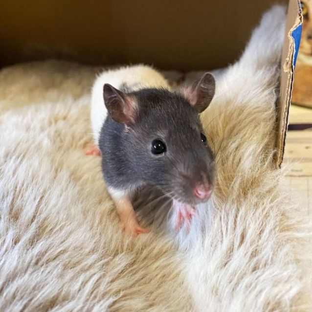 Photo of Lilith & Lola