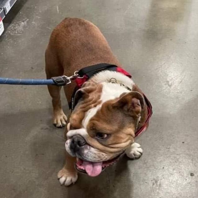 Photo of Gorgeous George