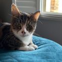 Photo of Jasmine