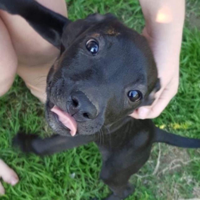 Photo of Duke