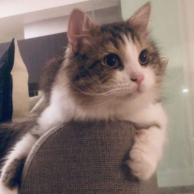Photo of Arthur 