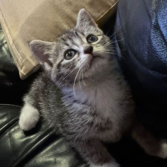 Photo of Zara