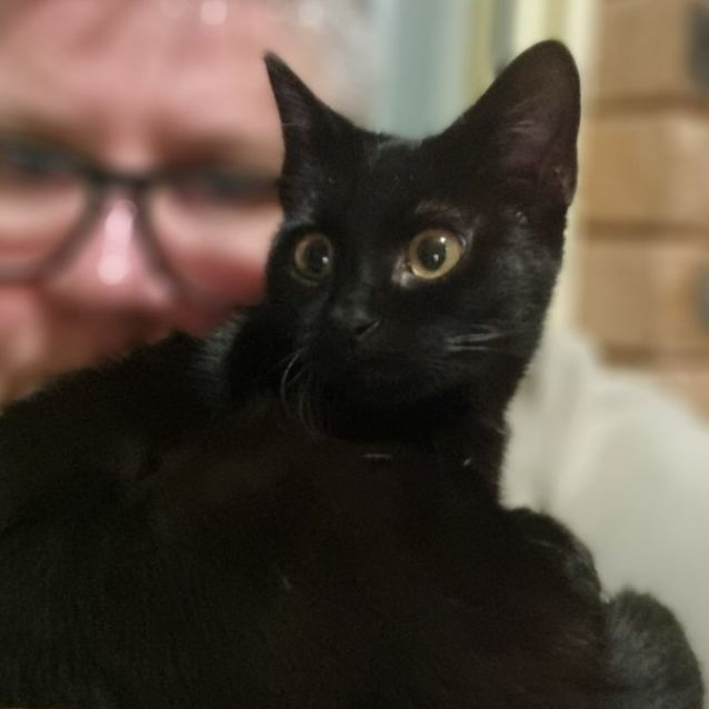 Photo of ❤️ Eclipse ❤️ 