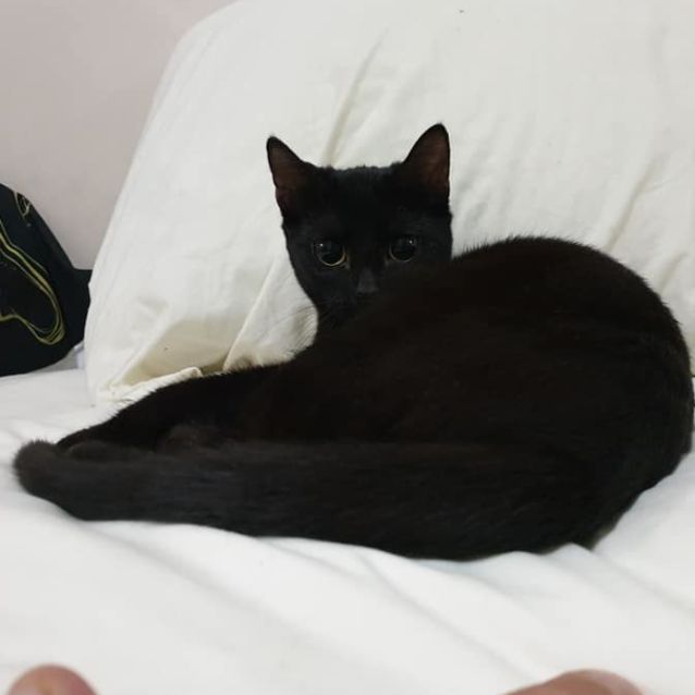 Photo of Zelda