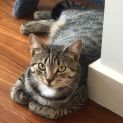 Photo of Juanita