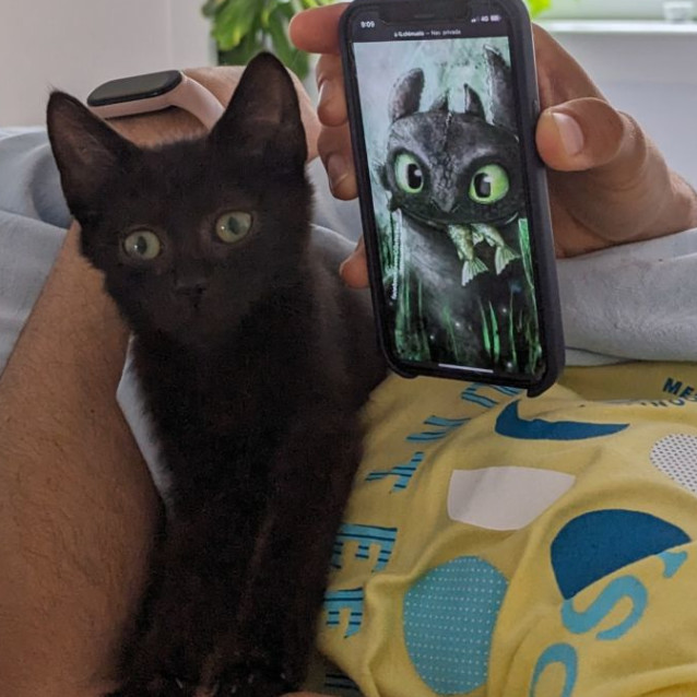 Photo of Shorty