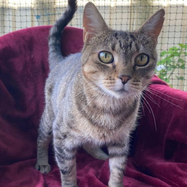 Photo of Annie