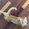 Photo of Narla