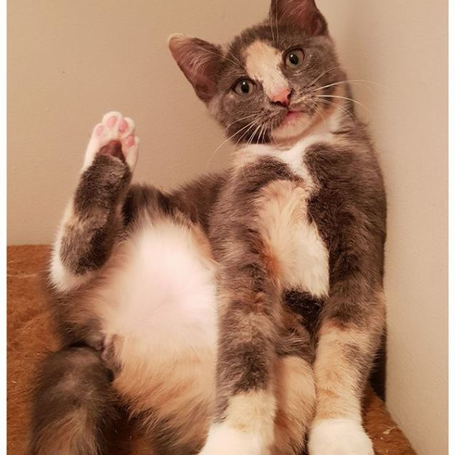 Photo of Shanti  Loves Kids