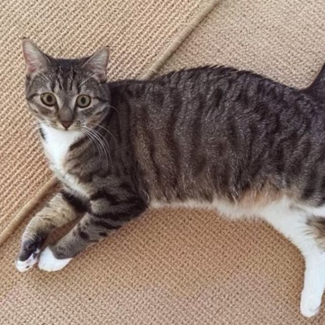 Photo of Willow 